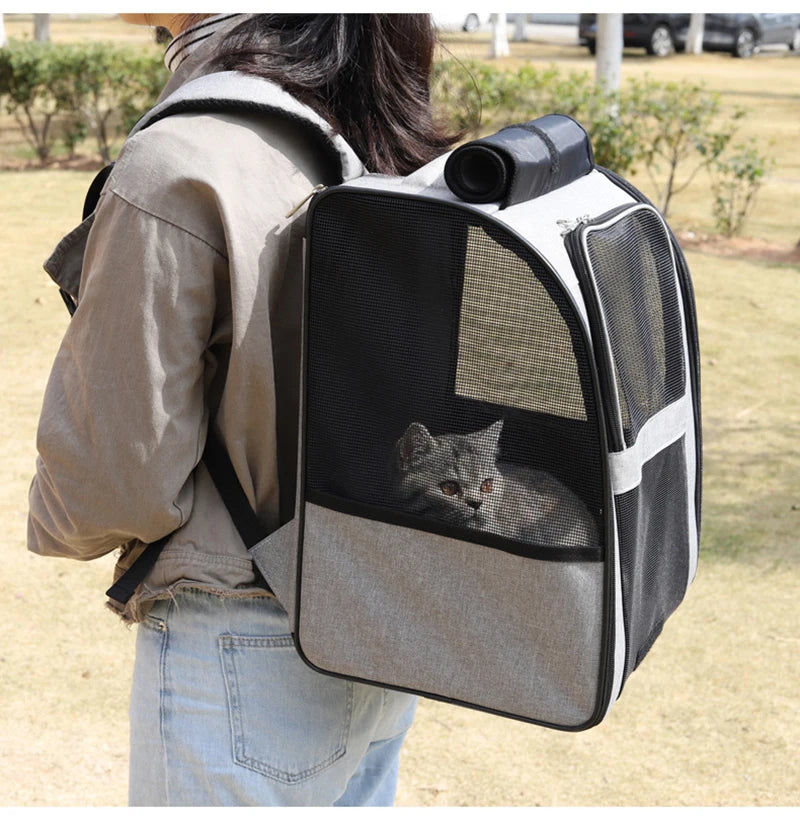Sacs à dos pour animaux de compagnie, sac à bandoulière respirant pour l'extérieur, pour petits chiens et chats, sac à dos pliable de voyage Portable, fournitures pour animaux de compagnie