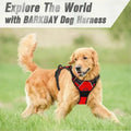 SFP-Harnissan RapDuty Casting pour grand chien, pas de côtes, poignée de contrôle facile pour promener les chiens de taille moyenne, fournitures pour animaux de compagnie