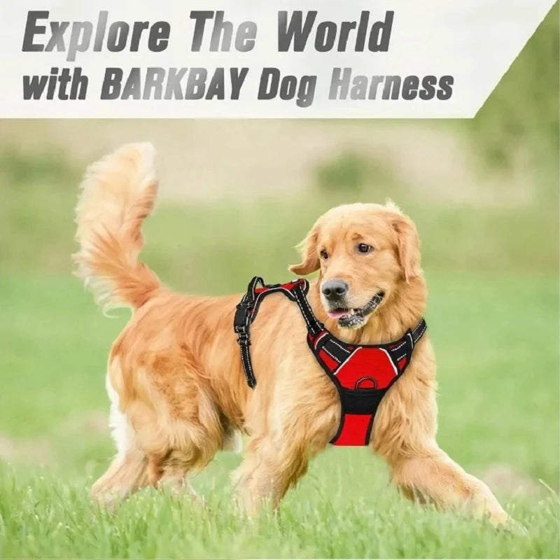 SFP-Harnissan RapDuty Casting pour grand chien, pas de côtes, poignée de contrôle facile pour promener les chiens de taille moyenne, fournitures pour animaux de compagnie