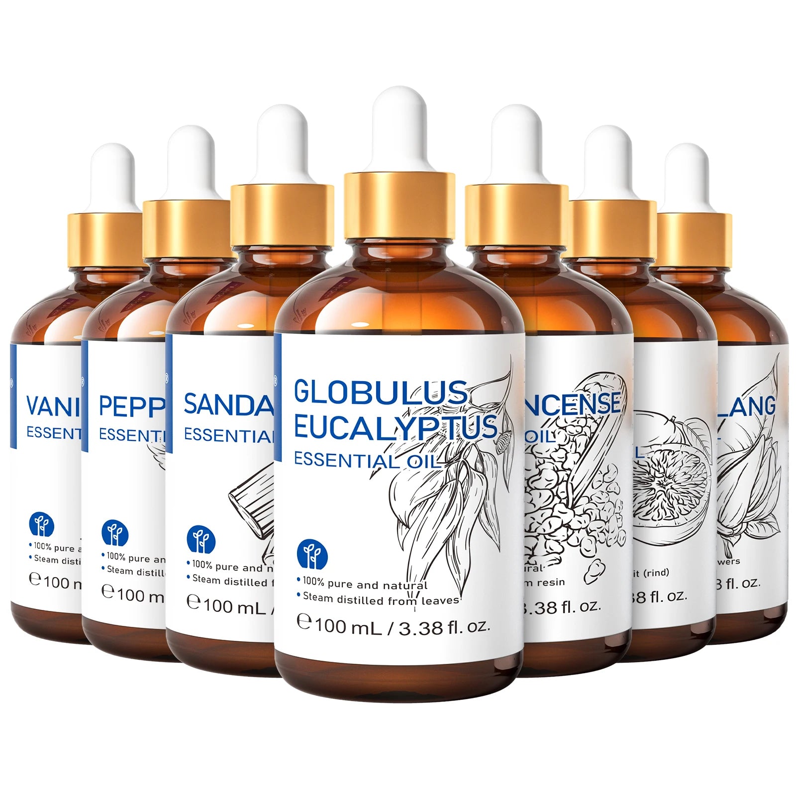 HIQILI Huile essentielle d'eucalyptus 100 ml, huile essentielle d'eucalyptus pour humidificateur et aromathérapie, 100 % naturelle, parfum d'ambiance pour la maison