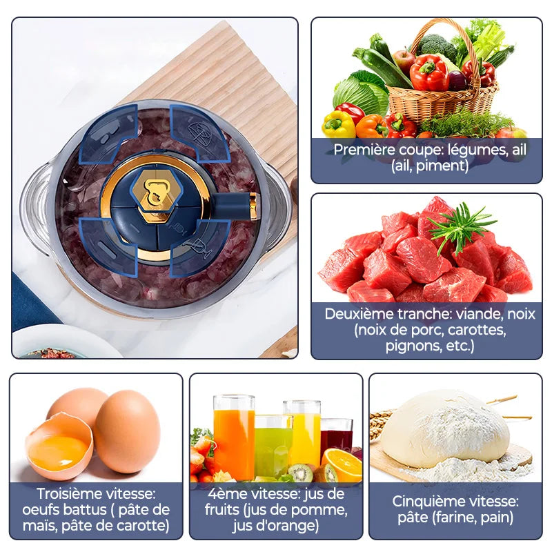 Hachoirs à viande électriques 5L, broyeur alimentaire multifonctionnel en acier inoxydable, trancheuse et hachoir pour légumes, pour la préparation de nourriture maison pour chiens